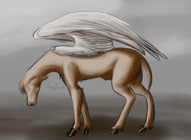 Minimal Shading +$15